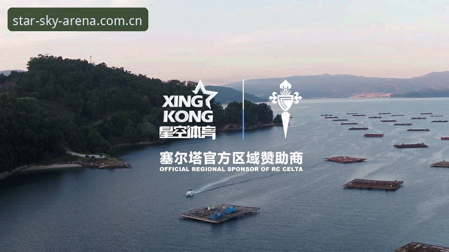 如何找到星空体育最新链接手机版？老用户手把手教你避开所有坑